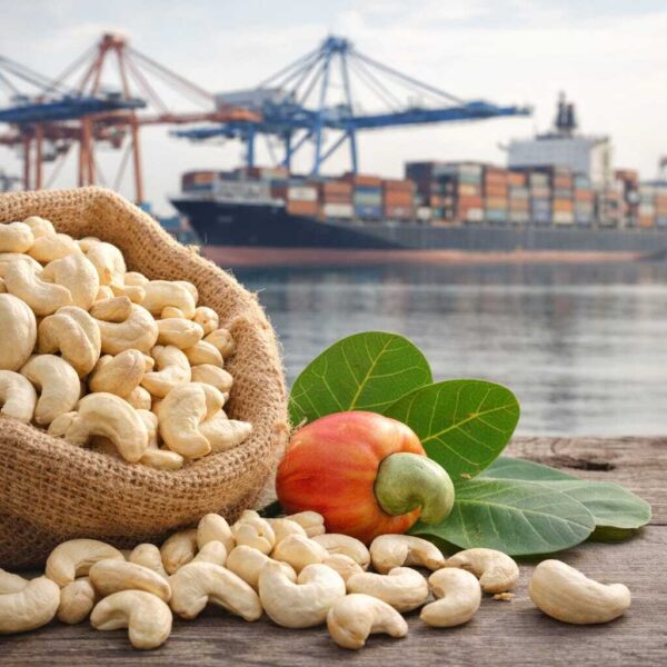 Cashew Nuts